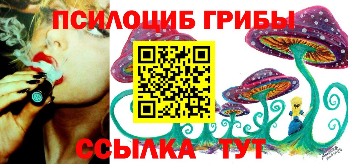 как найти наркотики  Галлюциногенные грибы мицелий  Вход с VPN  Темрюк 