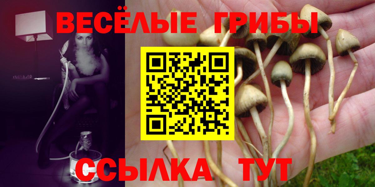 Псилоцибиновые грибы ЛСД Темрюк